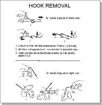 hook_remove