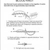 blood_knot